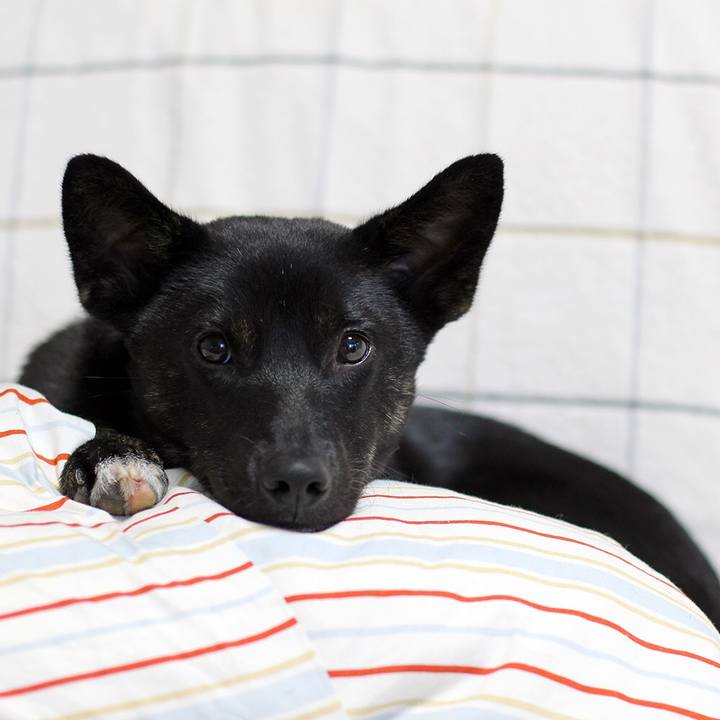 C1f2cd25 a515 40b2 9be1 37419b937e39