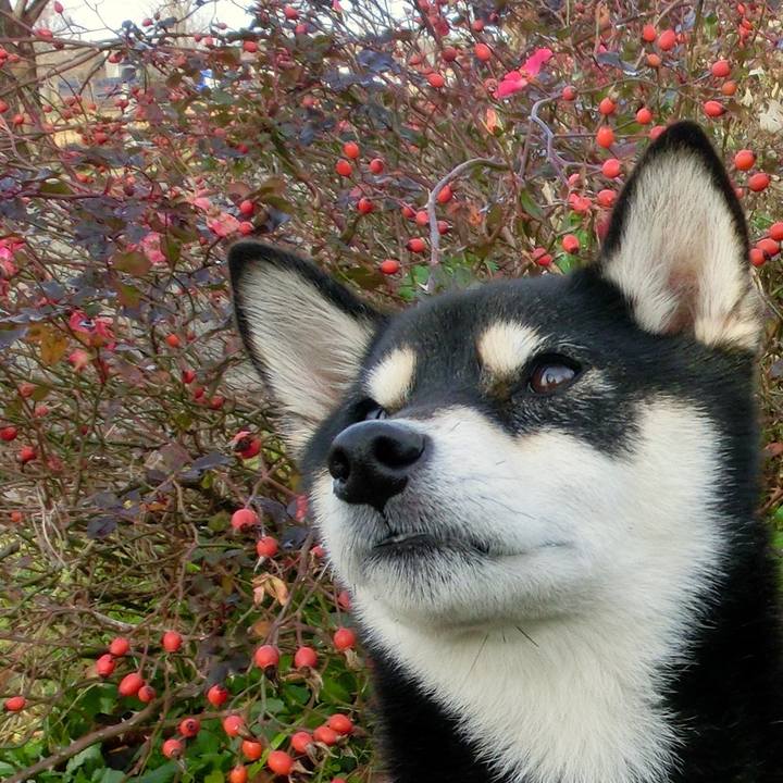 C1f2ebe2 35c1 482a 878f e91adf4db879