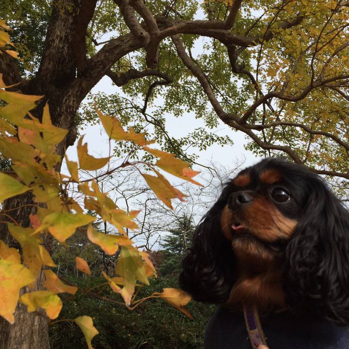 C1f380a3 e797 4b3b 86a8 5dec8951b515