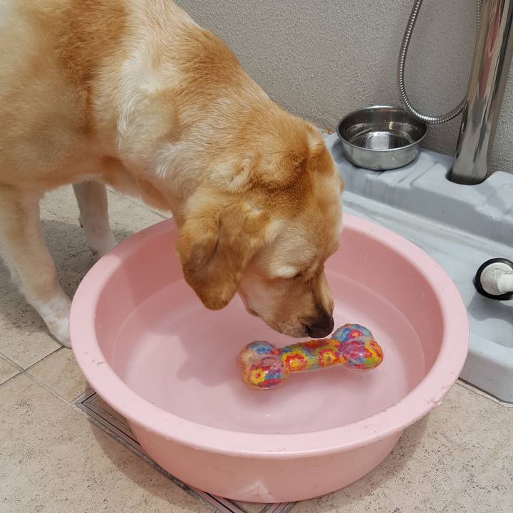 C1f38173 67bc 440c 978b 5199843aeba5