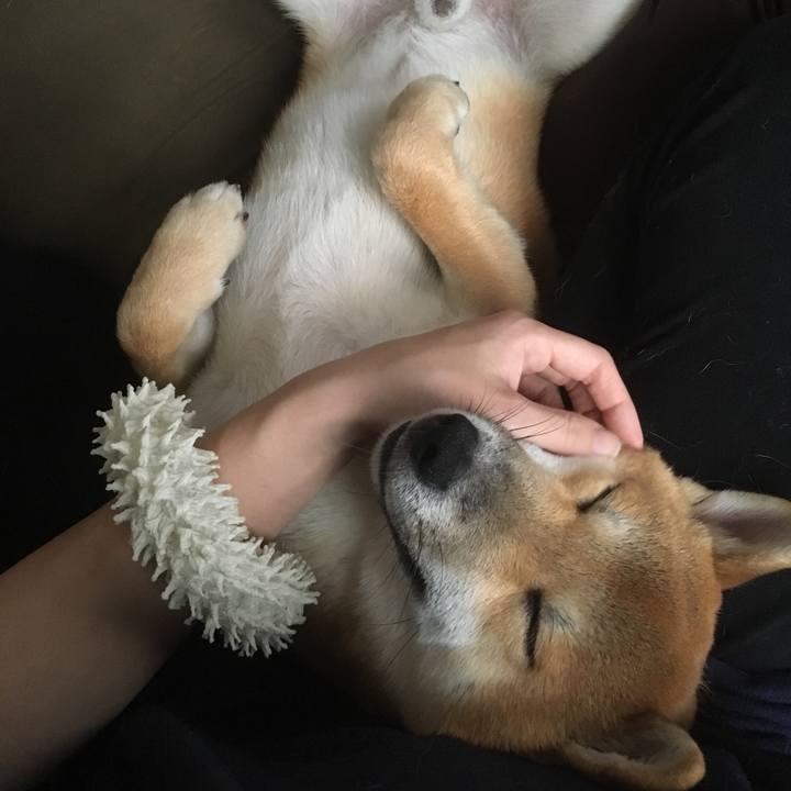 C1f43473 08f6 4db8 b9aa 4e5867b1fe1a