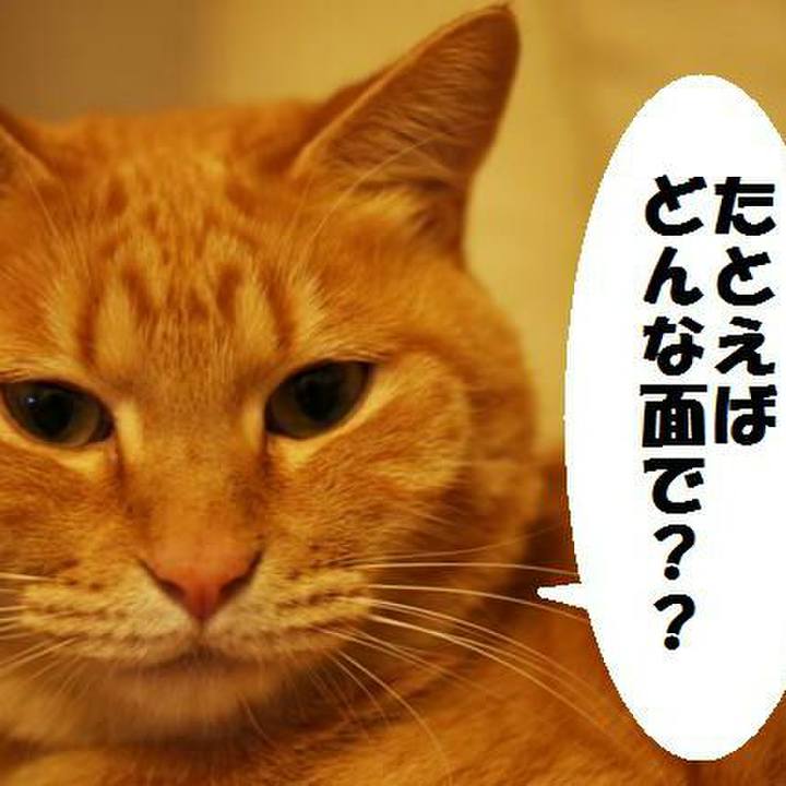 C1f436ab 36fe 438c ae80 1123367ff318