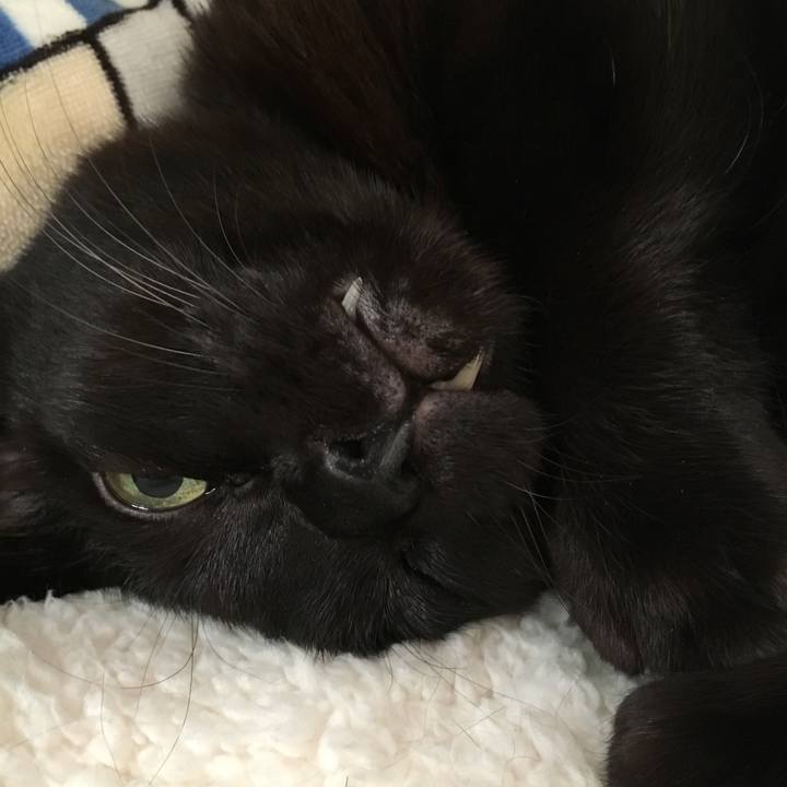 C1f46ffd f302 4a96 a393 21e75b12a309