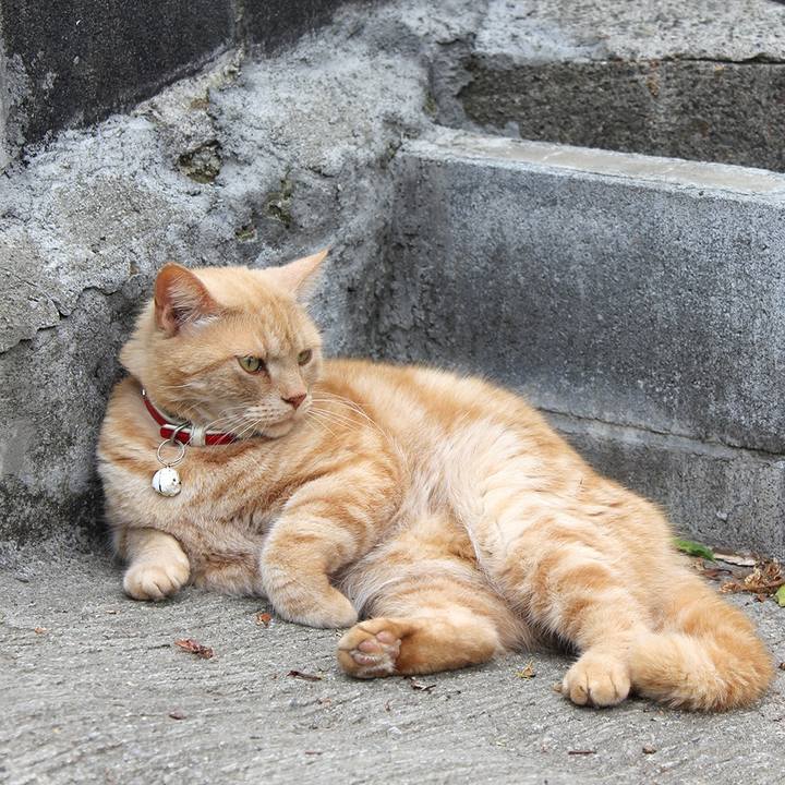 C1f4c08e f69d 4109 9ab5 63f607551b2f