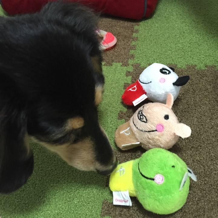 C1f6b9cb d3e7 47bb 8939 640a413506bc