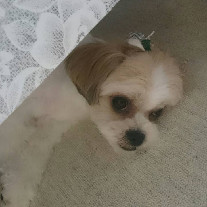 C1f6c130 7198 4c04 a5b3 a95c08068ca7