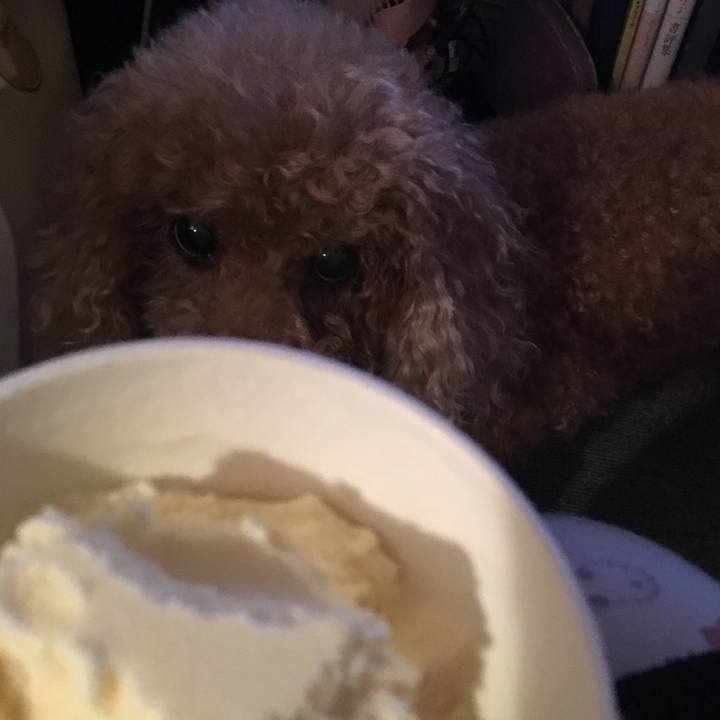 C1f6e1fc 2c92 437f 81bd 2656605f0e2f