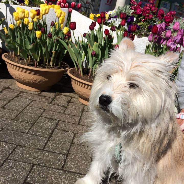 C1f751e7 68de 4f1b 84d2 d588734a8e74