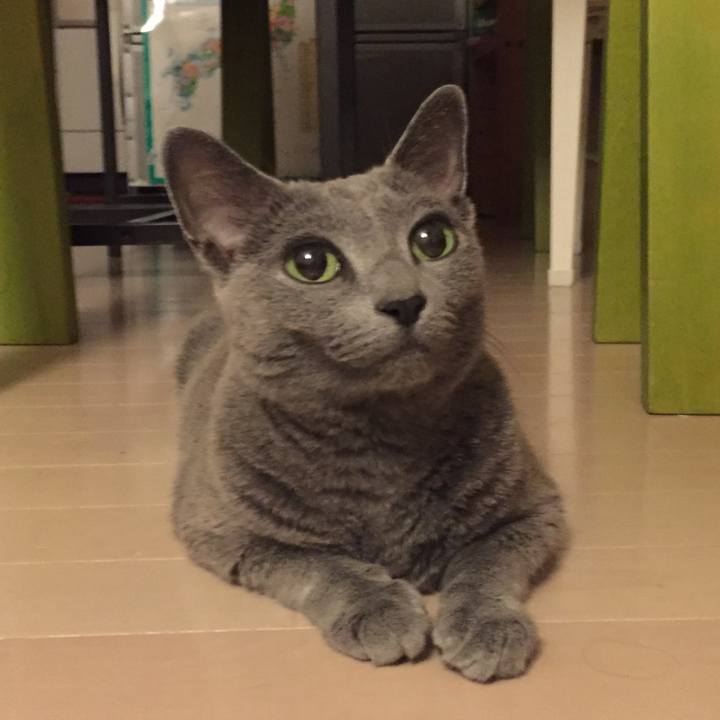 C1f7d12c 089d 4247 a788 1578454c8414