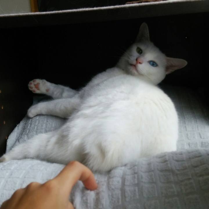 C1f7e413 f1d6 4be6 84a7 599e74df4ad8