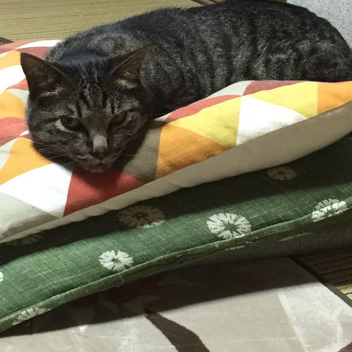 C1f92aa2 47bc 41cb 9091 be09db5aec7c