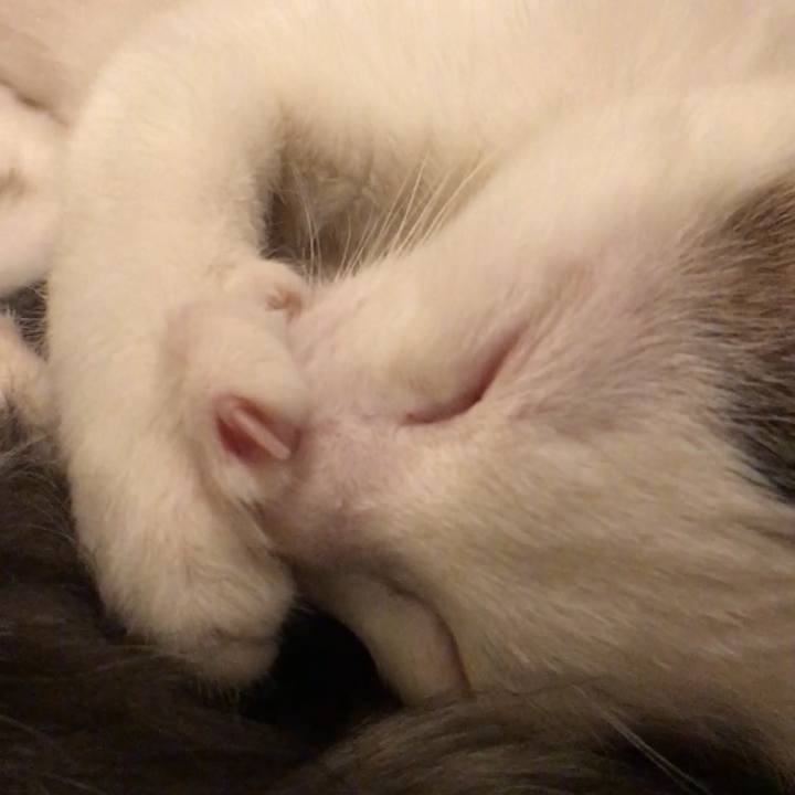 C1f94f9d ee5c 46cf bded 6d804bd62ac2