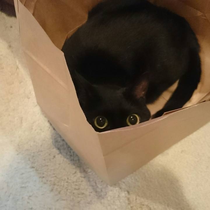 C1f956ad b214 461e 8737 68147d32192d