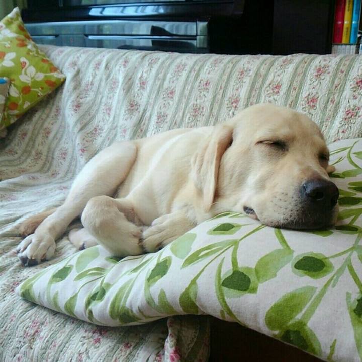 C1f9e442 eb4f 4d5e 98b5 a673123b4aa5