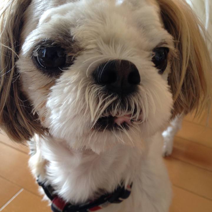 C1f9f3d0 d4bb 44e3 a5db 8c9056b5a5e5