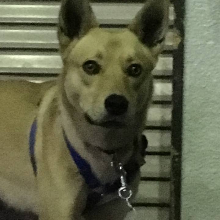 C1f9f45a 83ed 4714 9359 0ddae221ff21