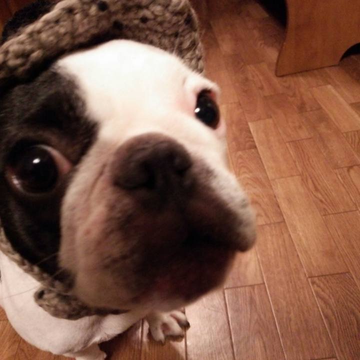 C1fbd51d 6857 4c43 8567 6f2aaa9f2950