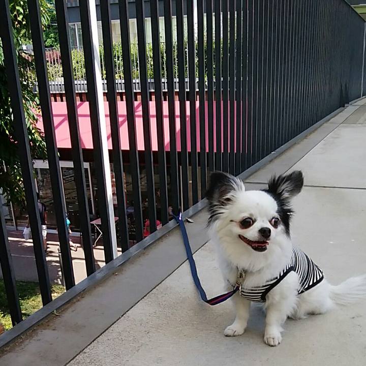 C1fbe451 5772 4bd8 907f 588c3964c4b3