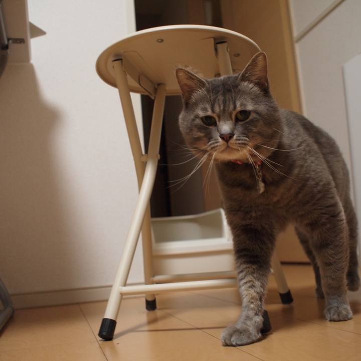 C1fbec5e 8c10 4b07 b621 2596be76cdeb