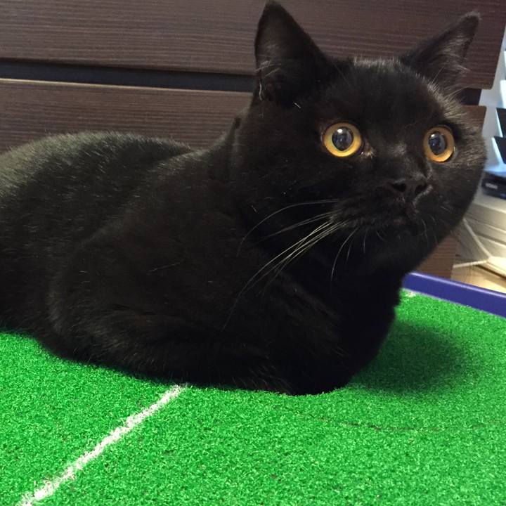 C1fbfcaf cc24 4939 b150 53b96f2f79bc