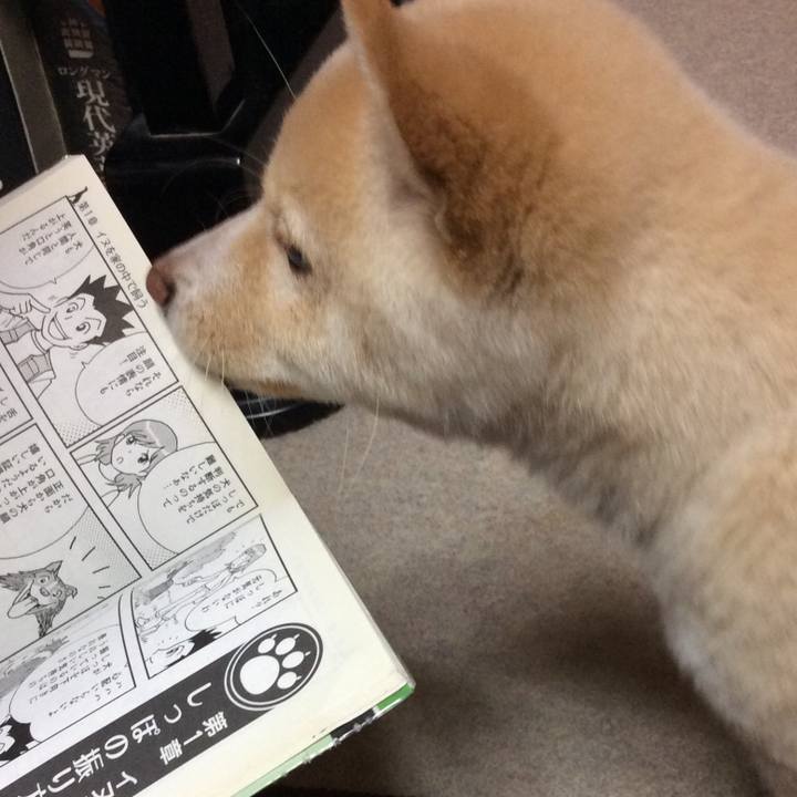 C1fc45b7 e9a0 4eba 9a0a 112d976c4e54