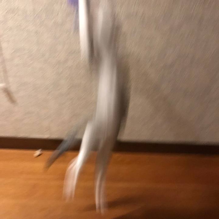 C1fc5f44 c51e 4ac5 b2d1 0ac1797894d6