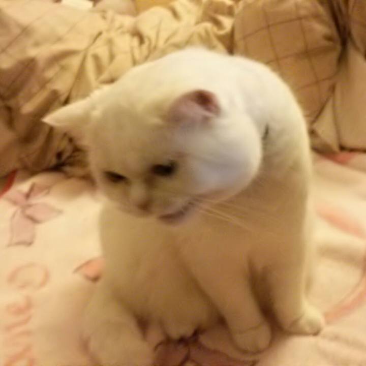 C1fc8cc8 5efa 4565 9555 e87e3339d413