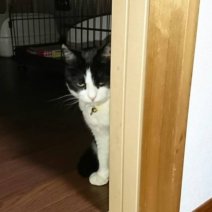 C1fca934 bb6b 4805 9c7e 328c9512861e