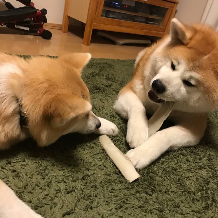 C1fcca0a cbe0 4b20 9952 9c27e96d7880