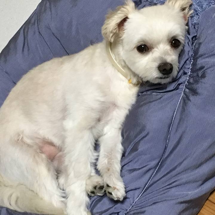 C1fccb22 88b7 4e73 b736 ec5ed7791b7f