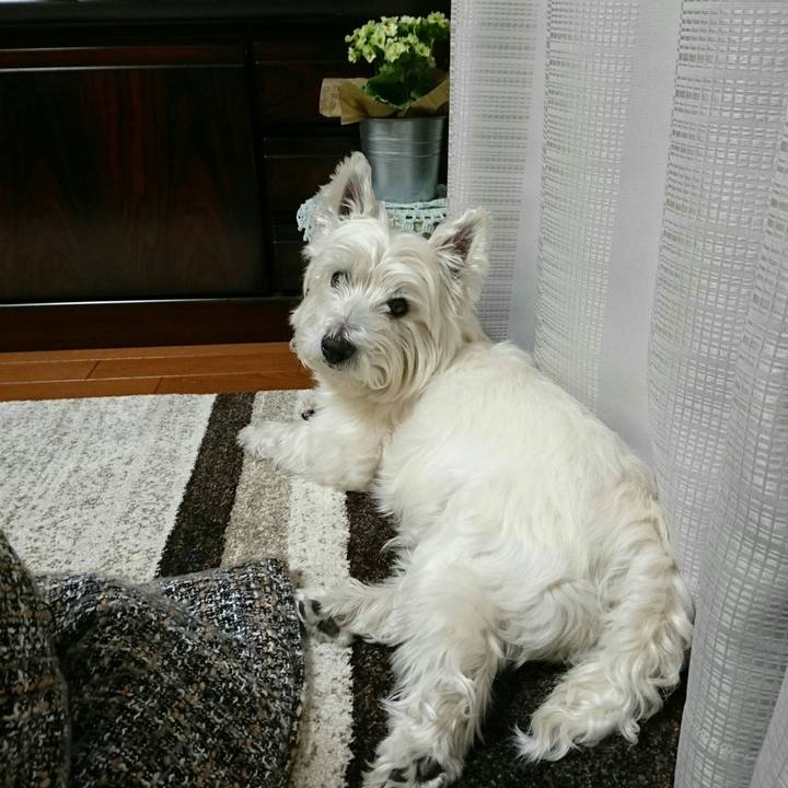 C1fcfcfd cd5e 460a b39b 21164888b39a