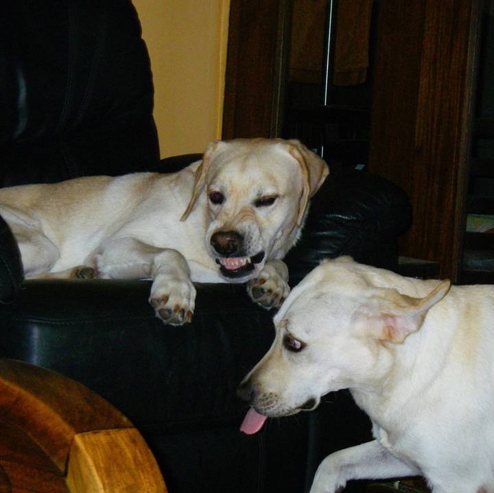 C1fdb444 3c30 4290 8eb6 7bd967e1b411