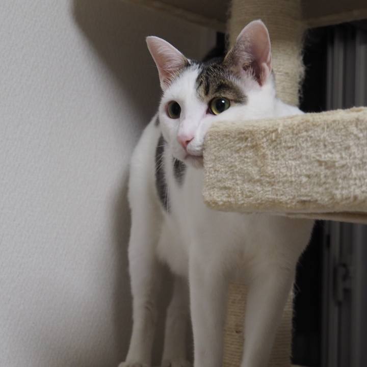 C1fdb4a4 0113 4321 9ff6 fa7d0e5226a1