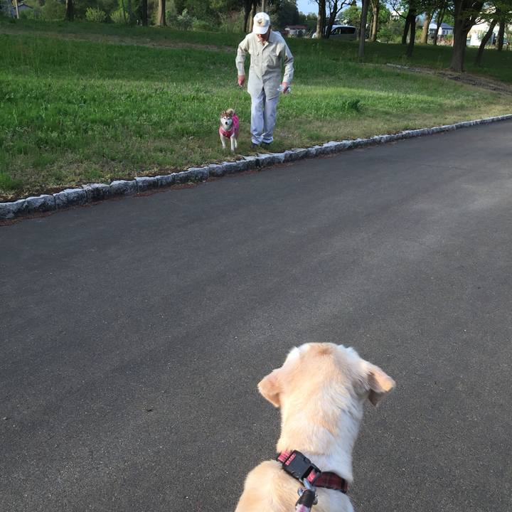 C1fdfd35 a46f 4248 ad5b 5c7a4e20667f