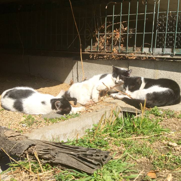 C1ff196d 3d60 4575 b859 64bb659aa894