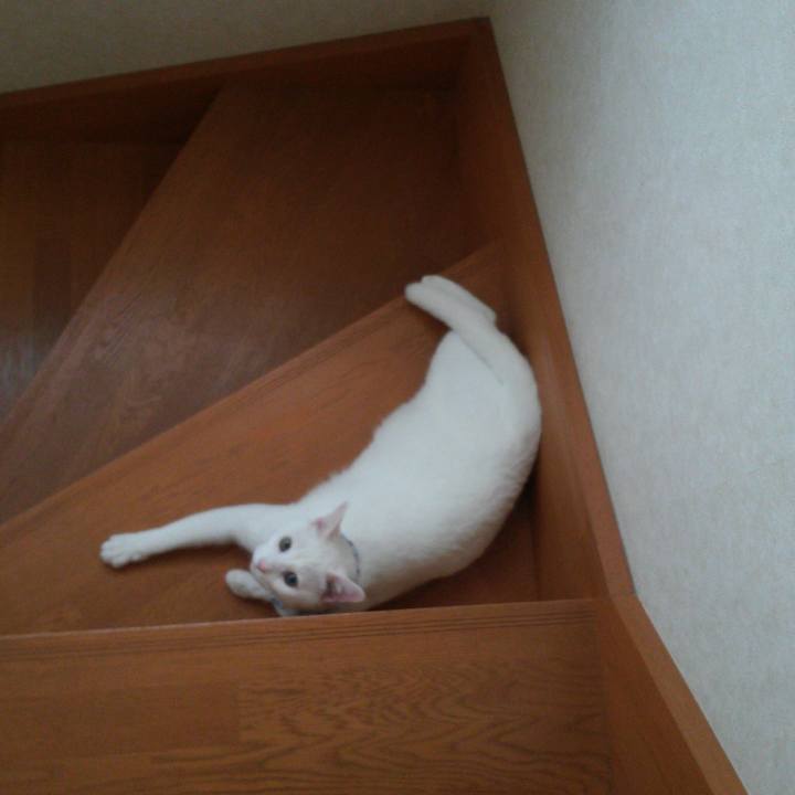 C1ff2f07 86f5 4749 a48a 323eefbd2ffd