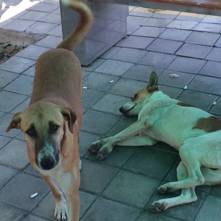 C1ff900c fedb 4c8b a97b ac216715ddae