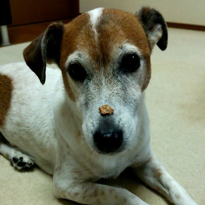 C200a59b fe8d 4eee abd0 938324f117a6