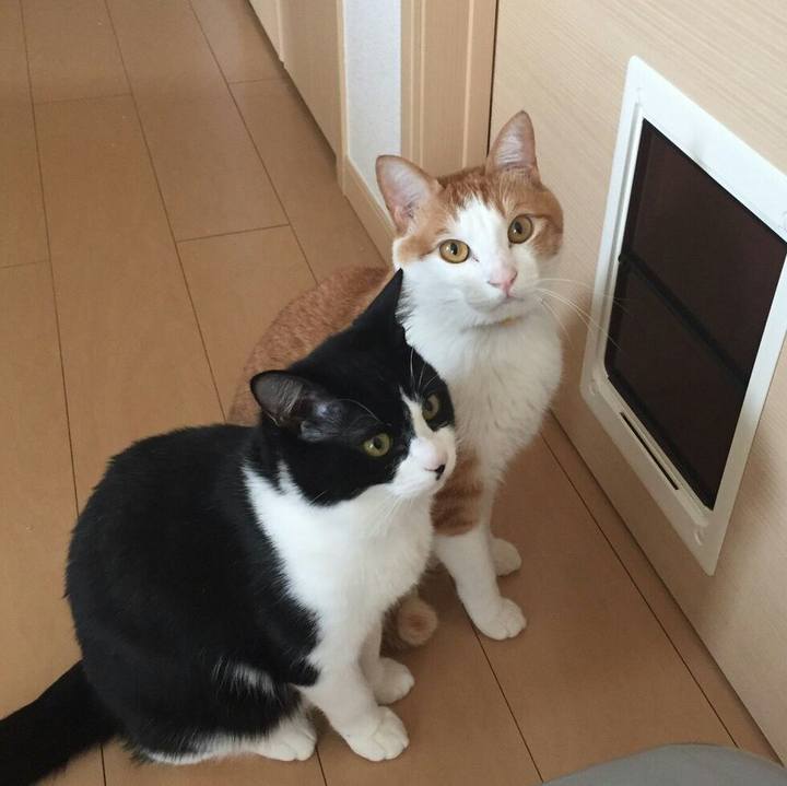 C200b839 a661 4c02 90ae 65a9406def4f