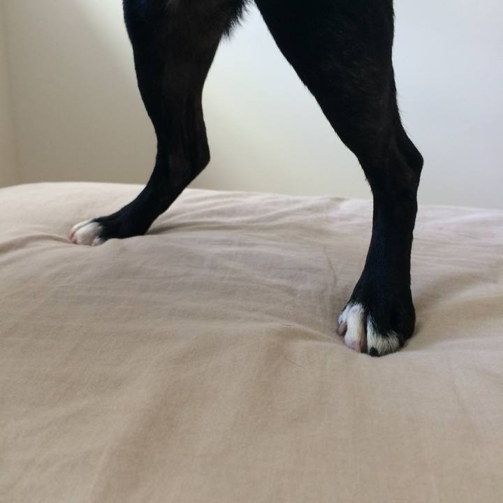 C200e456 b0d0 4d68 8966 136842cf8e4a