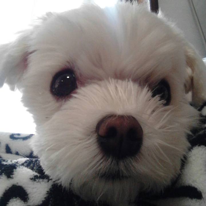 C2013143 b17d 4808 9c38 13f13a610c0c