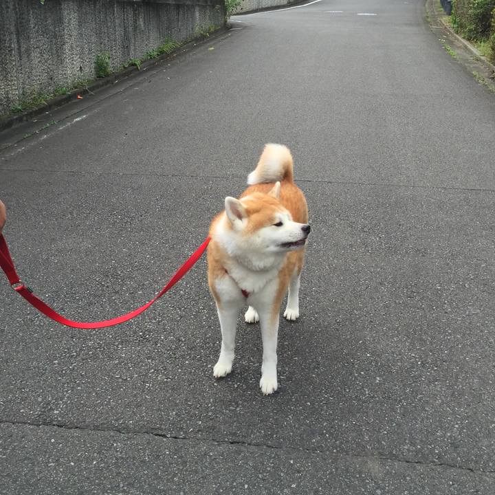 C20258ba 5403 4a94 8715 2f85e978831b