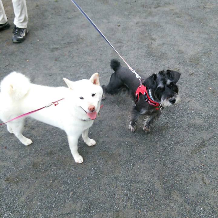 C20259e0 ae8b 46ba a8b3 25748458ea0a