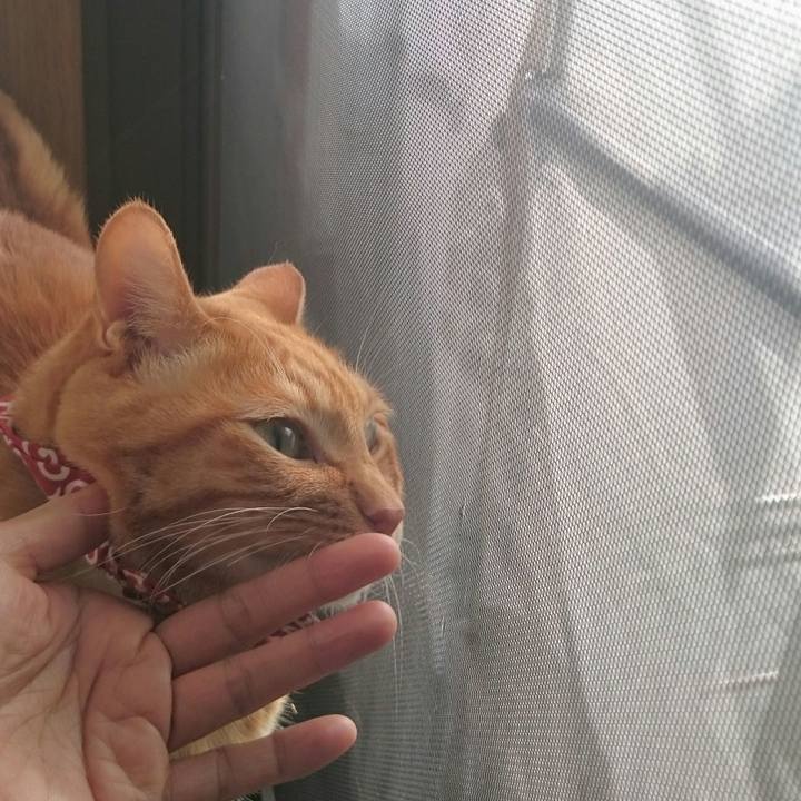 C2026741 b4c3 4851 a991 77fb8167f571