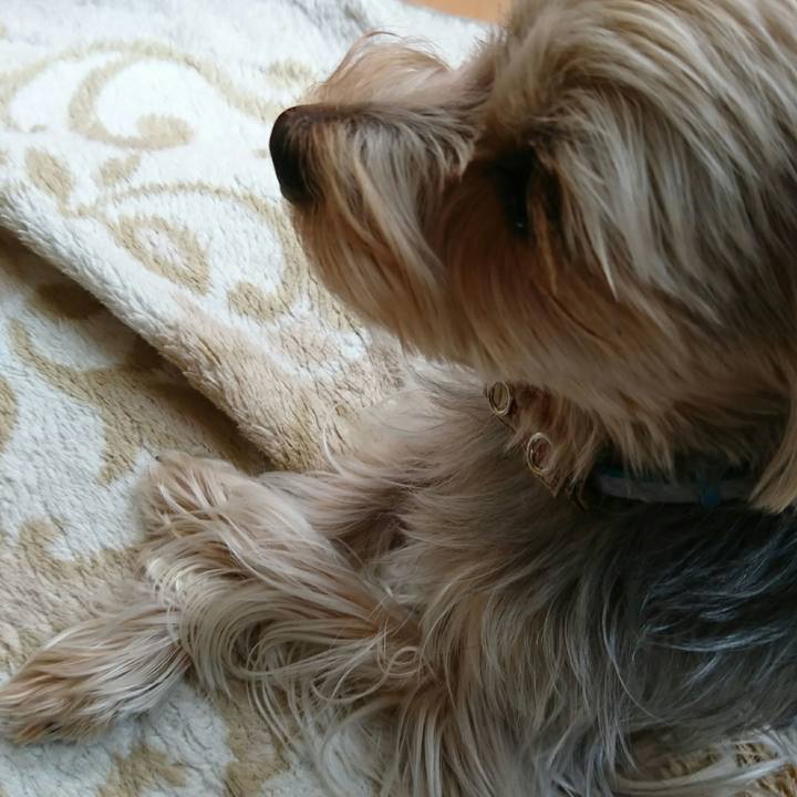 C20288f4 4c27 44ba a395 abf0be6189d0