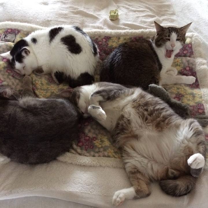 C20315fb 8f85 44b1 89e8 cbff720b6766