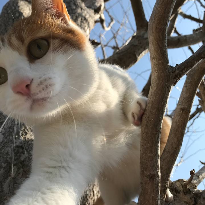 C2036b44 9adc 46ea 91c6 a70ff7605877