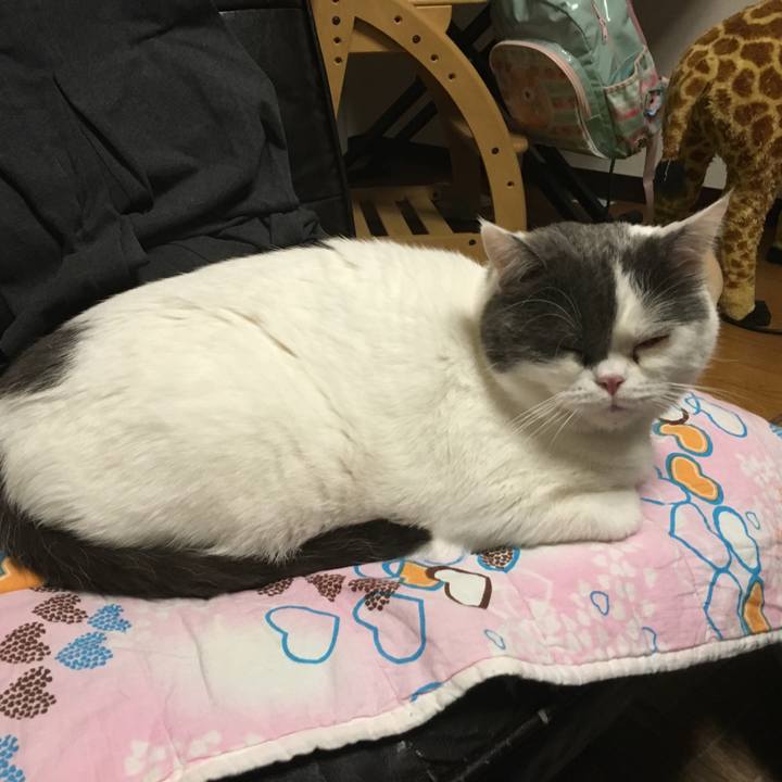 C2046b1a 1c1a 43bd bc4e 2ff77a180a20