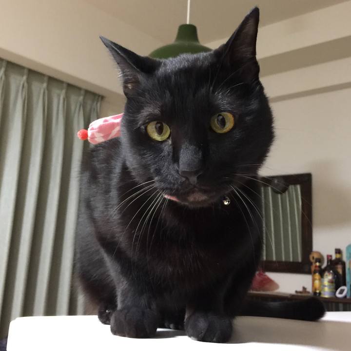 C204f358 0976 41d6 aef2 bd65760183fd