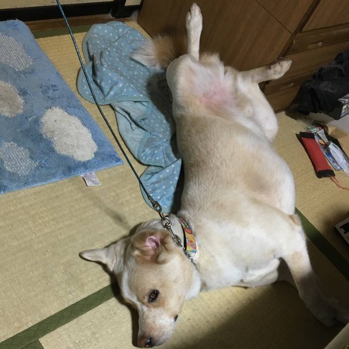 C2054973 1e3b 4442 8897 77fabf05a841